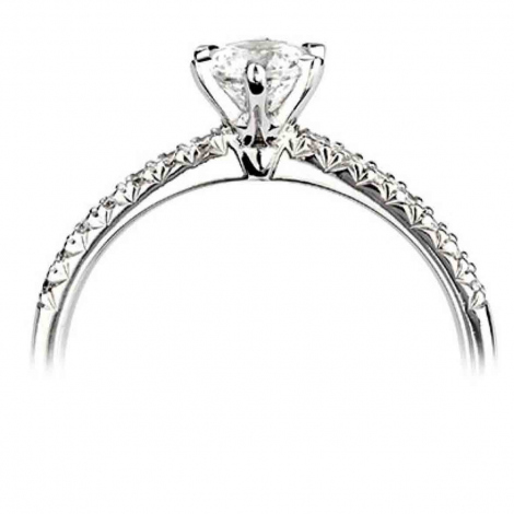 Bague de Fianailles Accompagne