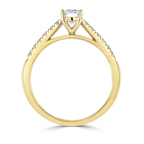 Bague de Fianailles Accompagne