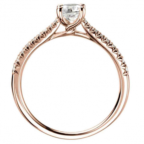 Bague de Fianailles accompagnes