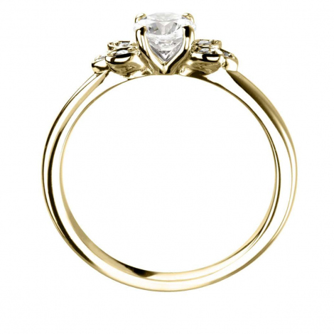 Bague de Fianailles accompagnes