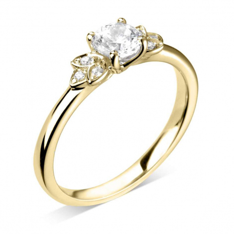 Bague de Fianailles accompagnes