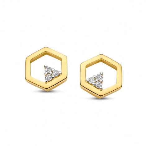 Boucles d'Oreilles Diamants