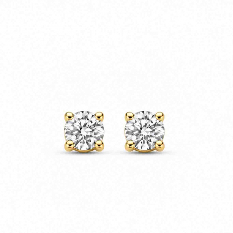 Boucles d'oreilles Diamants - Classic Collection - Mérité à combiner