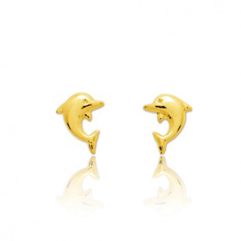 Boucles d'oreilles or
