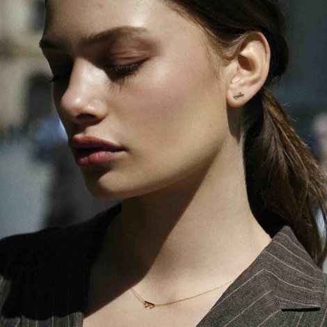 Boucles d'oreilles Or et Diamants