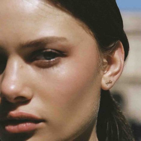 Boucles d'oreilles Or et Diamants