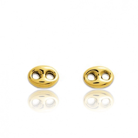 Boucles d'oreilles or