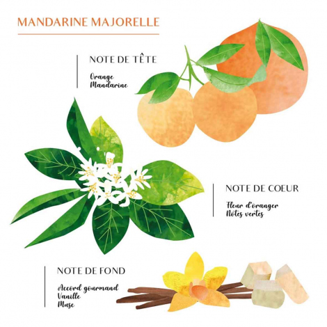 Bougie Parfume Izza - Mandarine - Majorelle S -