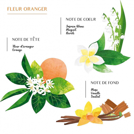 Bougie Parfume Sabra - Fleur d'oranger - Nelia S -