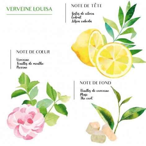 Bougie Parfume Sabra Maillechort - Louisa Verveine - Kaki