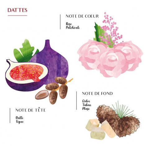 Bougie Parfume Scents of Morocco - Dattes - 