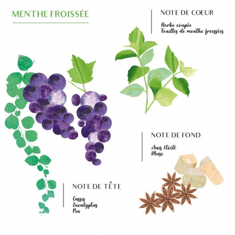 Bougie Parfume Scents of Morocco - Menthe et th - 