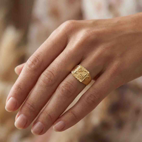 Chevali�re Lucas Lucor