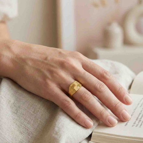 Chevali�re Lucas Lucor