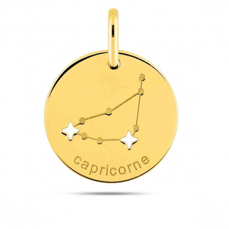 Pendentif Zodiaque Capricorne