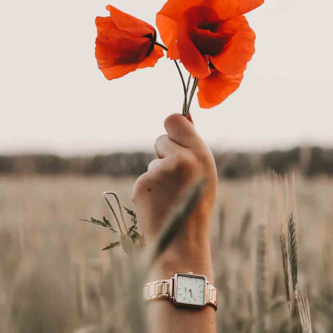 Montre Cluse Ttragone Steel White Pearl, Rose Gold Colour