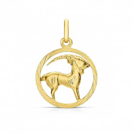 Pendentif Zodiaque Capricorne