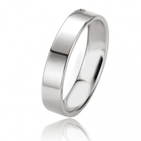 Alliance Basic Light II 4.5 mm