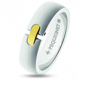 Bague Pequignet Acier et Or 6 mm