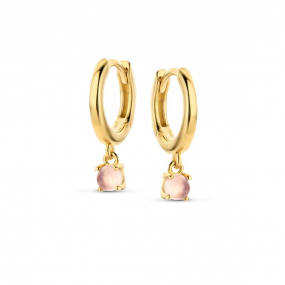 Boucles d'oreilles Argent plaqu or avec en complment