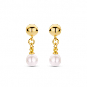 Boucles d'oreilles Argent plaques or similaire