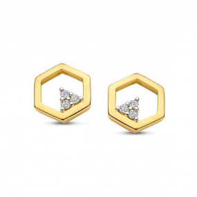 Boucles d'Oreilles Diamants