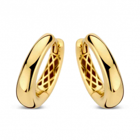 Boucles d'oreilles Or similaire
