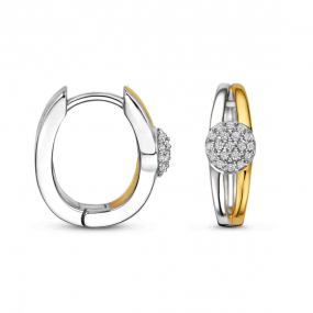 Créoles bicolores en argent et Oxydes - en complément