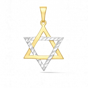 Pendentif Etoile de David similaire