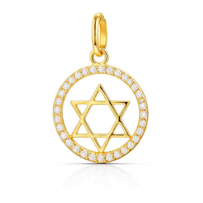 Pendentif Etoile de David entourage en r�duction