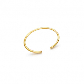 Piercing Nez Anneau