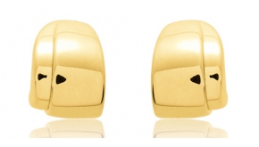 Boucle d'oreille Chic