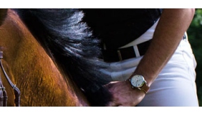 Montre Pequignet Equus