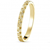 Alliance Alize - Autre version