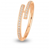 Alliance diamant DEVA - Autre version