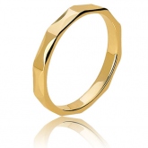 Alliance Lierre - Autre version