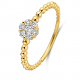 Bague Diamants - Autre version