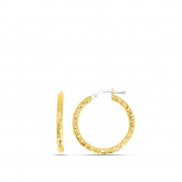 Boucles d'oreilles croles Fil 2.5 mm