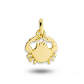 M�daille Zodiaque - Autre version