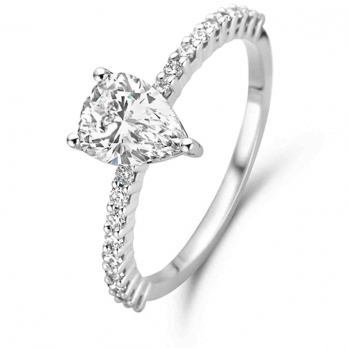 Bague de Fian�ailles accompagn�es