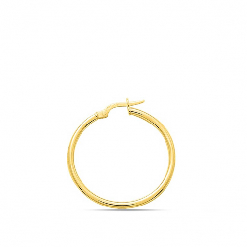 Boucles d'oreilles cr�oles 25 mm - Fil 2 mm