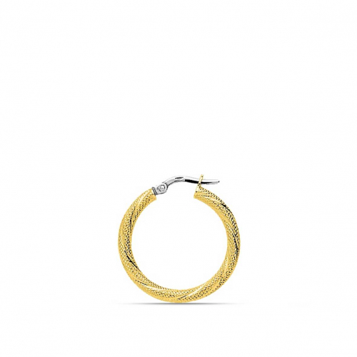 Boucles d'oreilles cr�oles Fil 2.5 mm