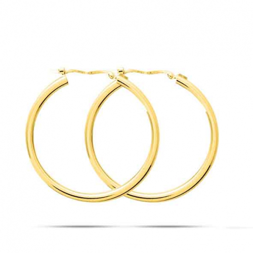 Boucles d'oreilles Cr�oles Syst�me Vector 25 mm - Fil 2.3 mm