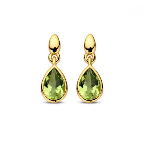 Boucles d'Oreilles Pridots