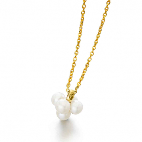 Collier or et Perles