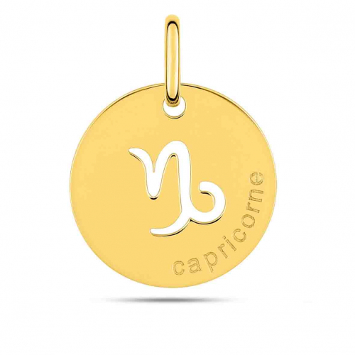 Pendentif Zodiaque Capricorne