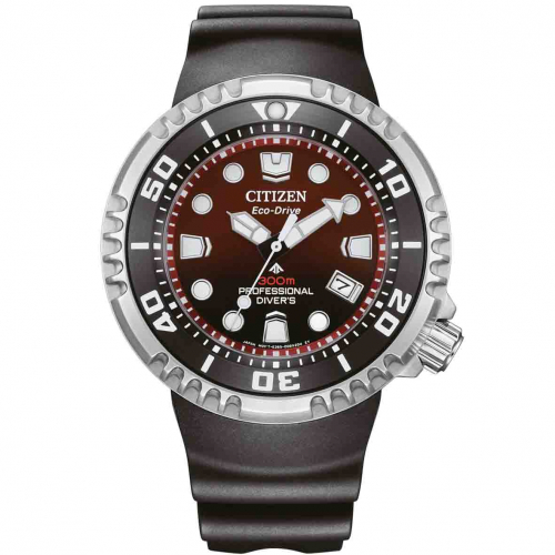 Montre Citizen Promaster Professional Diver 300