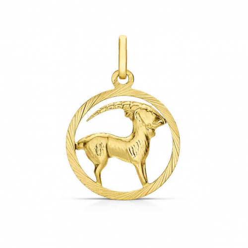 Pendentif Zodiaque Capricorne